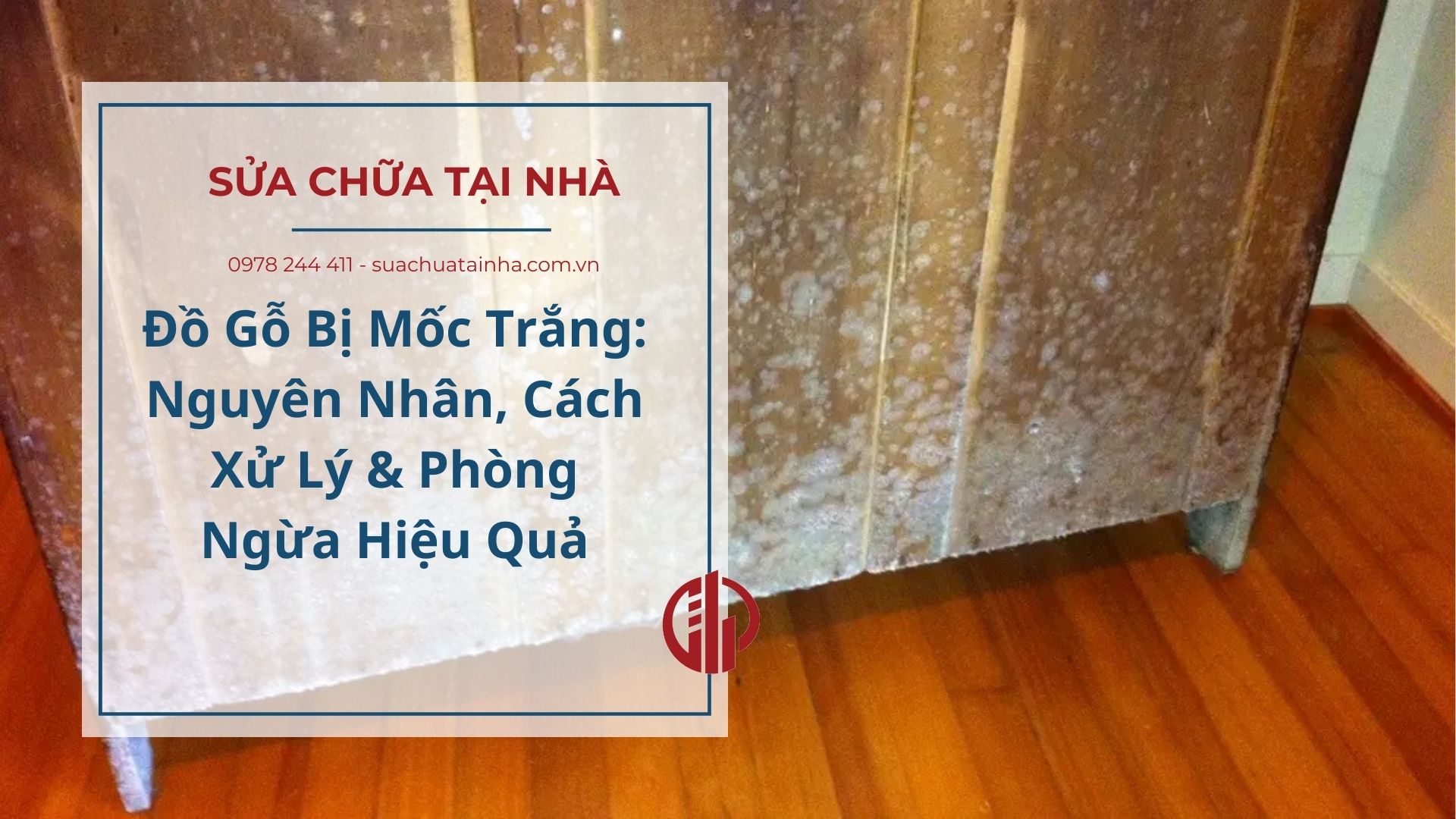 Đồ Gỗ Bị Mốc Trắng